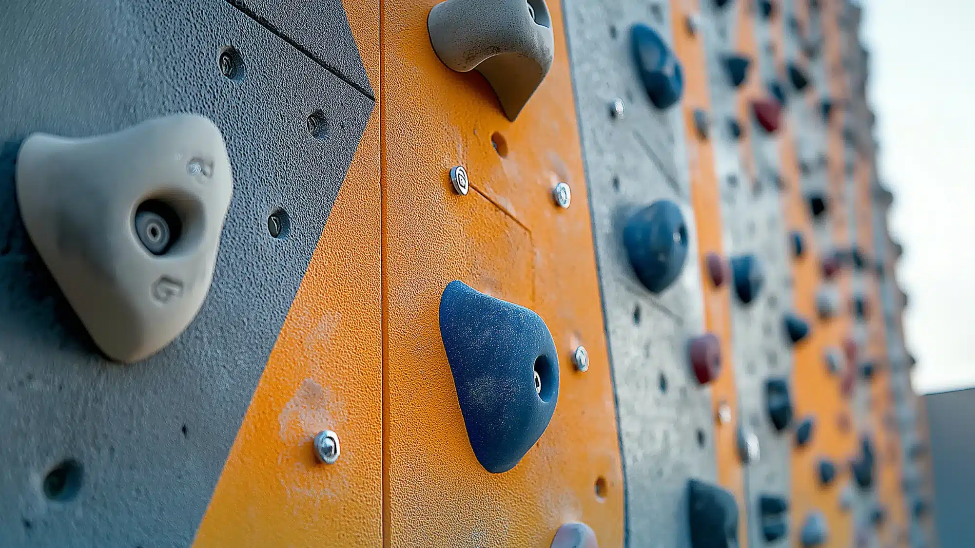 Close-up of durable climbing holds mounted on a professional climbing wall, highlighting quality construction and installation by experienced climbing wall installers.